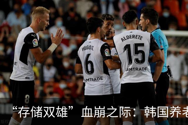 “存储双雄”血崩之际：韩国养老基金“亏惨了”！