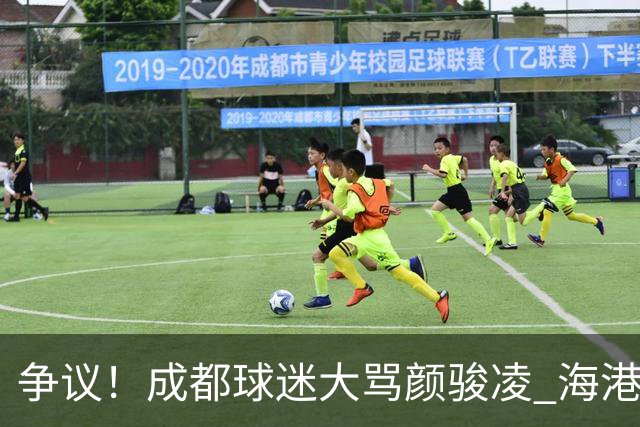 争议！成都球迷大骂颜骏凌 海港球迷：四处拉仇恨 难怪被群起攻之
