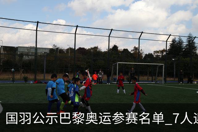 国羽公示巴黎奥运参赛名单 7人迎首秀2对冲全满贯