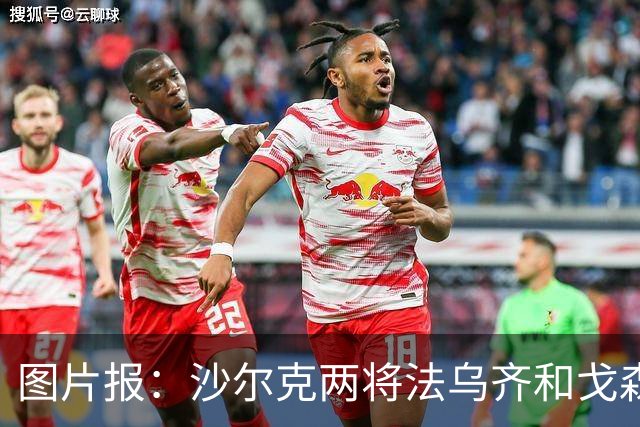 图片报：沙尔克两将法乌齐&戈森斯严重撞伤，将缺席杯赛