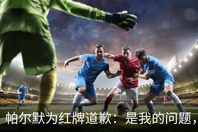 帕尔默为红牌道歉：是我的问题，会吸取教训