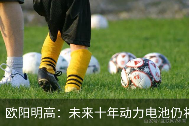 欧阳明高：未来十年动力电池仍将以磷酸铁锂为主，半固态电池不能与全固态混为一谈