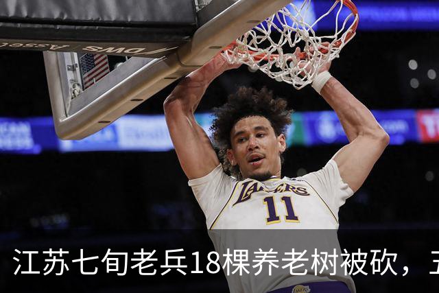 江苏七旬老兵18棵养老树被砍，五次赴省反映后被送派出所