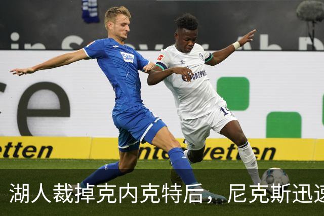 湖人裁掉克内克特后，尼克斯迅速出手认领