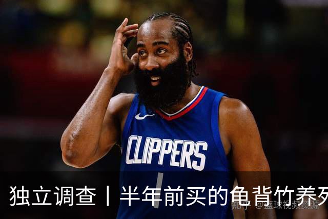 独立调查丨半年前买的龟背竹养死了，也要“仅退款”：商家拒绝后被投诉到闭店，还被告上法庭