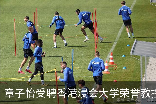 章子怡受聘香港浸会大学荣誉教授，本人发声：心中感恩，亦诚惶诚恐