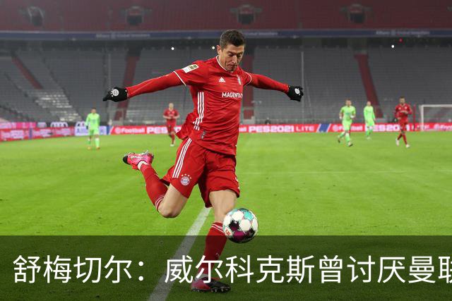舒梅切尔：威尔科克斯曾讨厌曼联，为何如今却在曼联任职