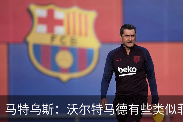 马特乌斯：沃尔特马德有些类似菲尔克鲁格，他应该回德国足坛踢球