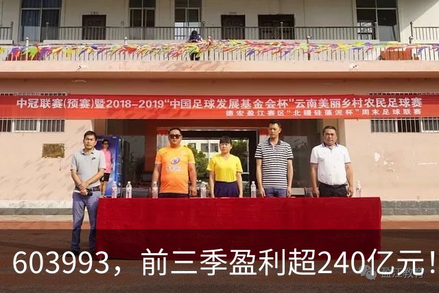 603993，前三季盈利超240亿元！已超去年全年！